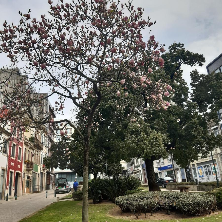 Otf- Porto Centro Apartment Bagian luar foto